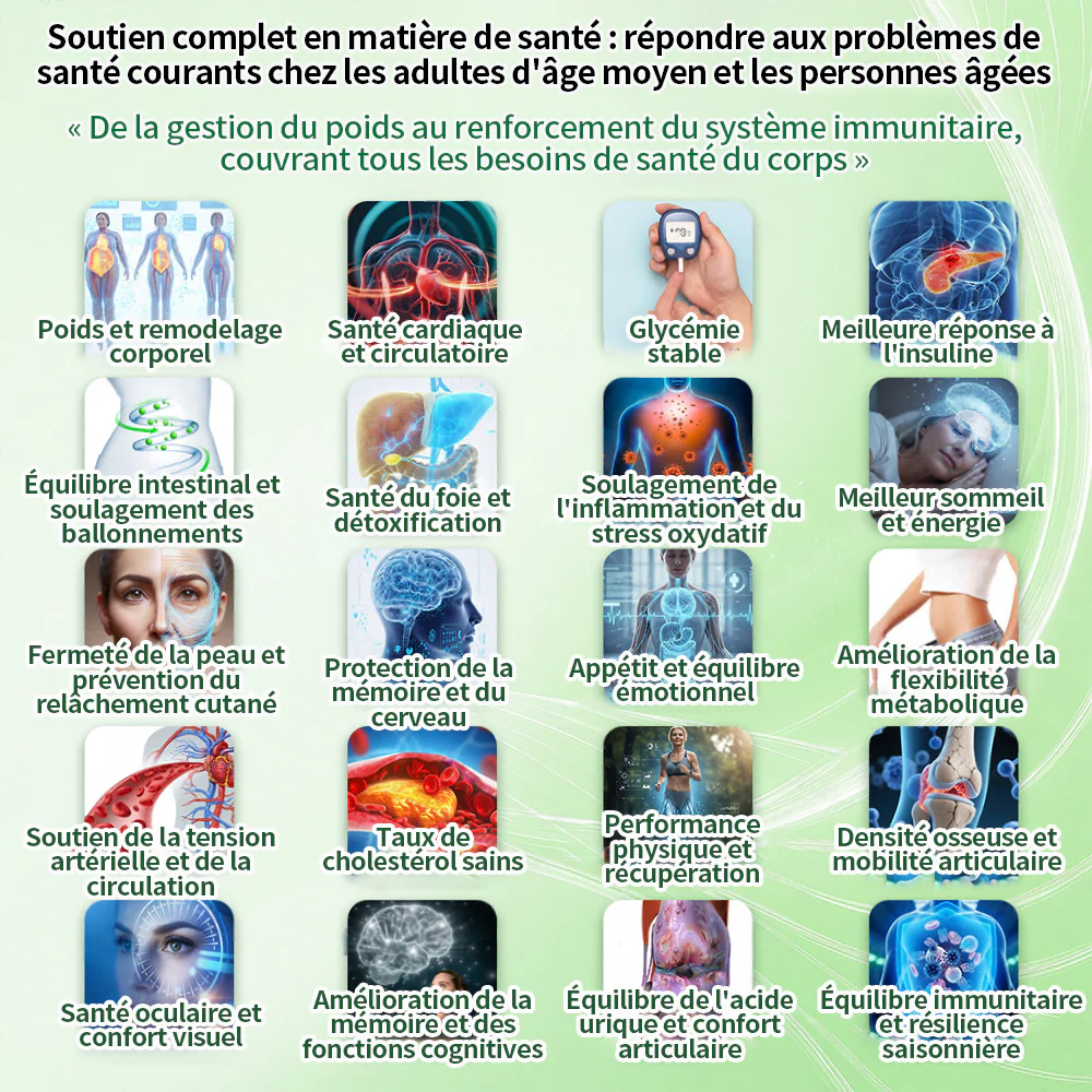 🔥 Nouveauté & Meilleure vente丨Purelora® Moringa Berbérine x NAD+ Patch Nano-Microneedle 10-en-1 Une application par jour, changements visibles dès 7 jours. Pour accompagner la gestion du poids et le bien-être global. - Image 2