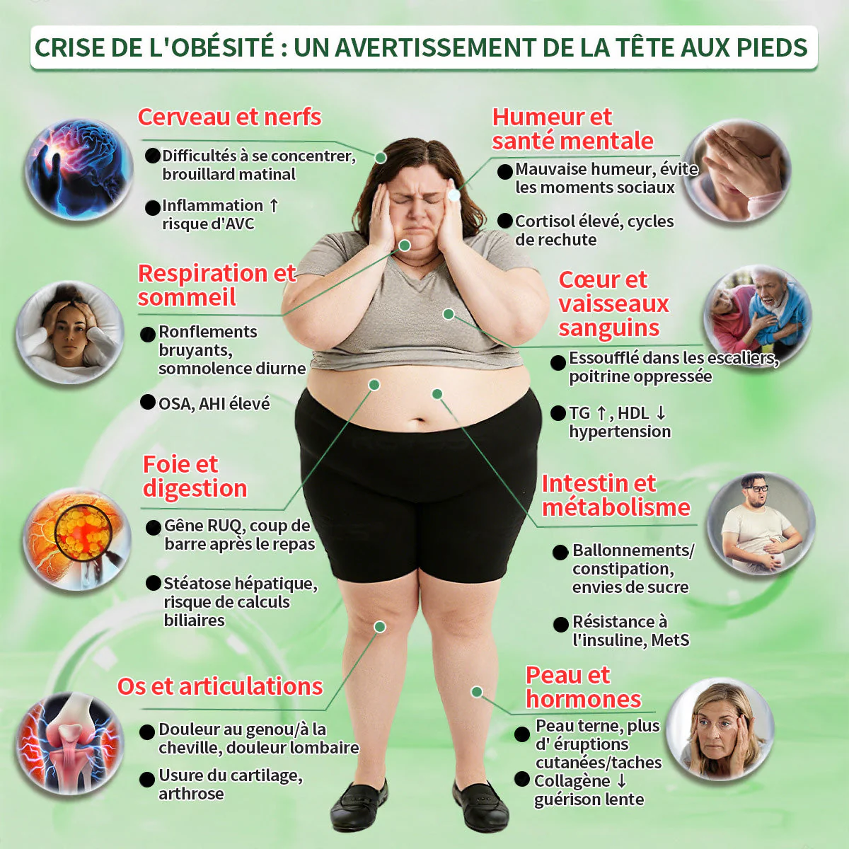 🇫🇷Magasin Officiel |  Healrize® Moringa & Bérbérine 10-en-1 Patch Nanomicro-aiguilles Avancé👩‍⚕️ (Une application quotidienne, résultats visibles en 7 jours)🌼 Obésité, Diabète, Apnée du sommeil, Problèmes articulaires - Image 2